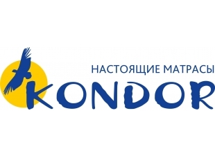  Кондор