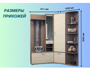 Прихожая Ника 1,61х1,06м ясень шимо темный/ясень шимо светлый