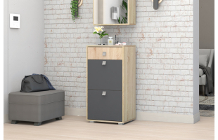 Тумба ТБ-01 Монако-2 Дуб сонома/Графит