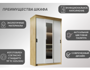 Шкаф-купе Эко Дуб вотан/Белый