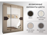 Шкаф-купе Николь-3 ясень шимо светлый/лиственница темная