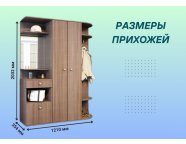 Прихожая Виза ясень шимо темный
