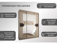 Шкаф-купе Николь-3 ясень шимо светлый/лиственница темная