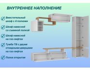 Гостиная Skyfree Нм-001 Дуб крафт золотой/Белый глянец