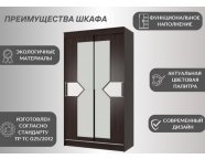 Шкаф-купе Николь-2 венге/лиственница светлая