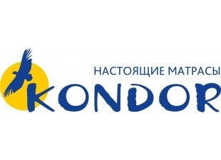  Кондор