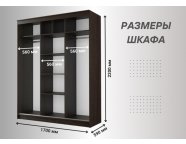 Шкаф-купе Николь-3 венге/лиственница светлая