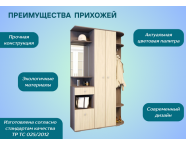 Прихожая Виза ясень шимо темный/ясень шимо светлый
