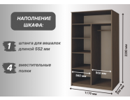 Шкаф-купе Николь-2 венге/лиственница светлая