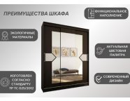 Шкаф-купе Николь-3 венге/лиственница светлая