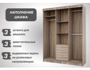 Шкаф-купе Лорд ясень шимо темный/ясень шимо светлый