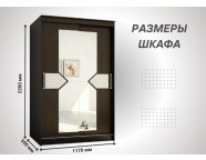 Шкаф-купе Николь-2 венге/лиственница светлая