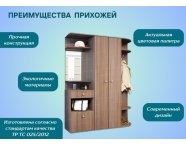 Прихожая Виза ясень шимо темный
